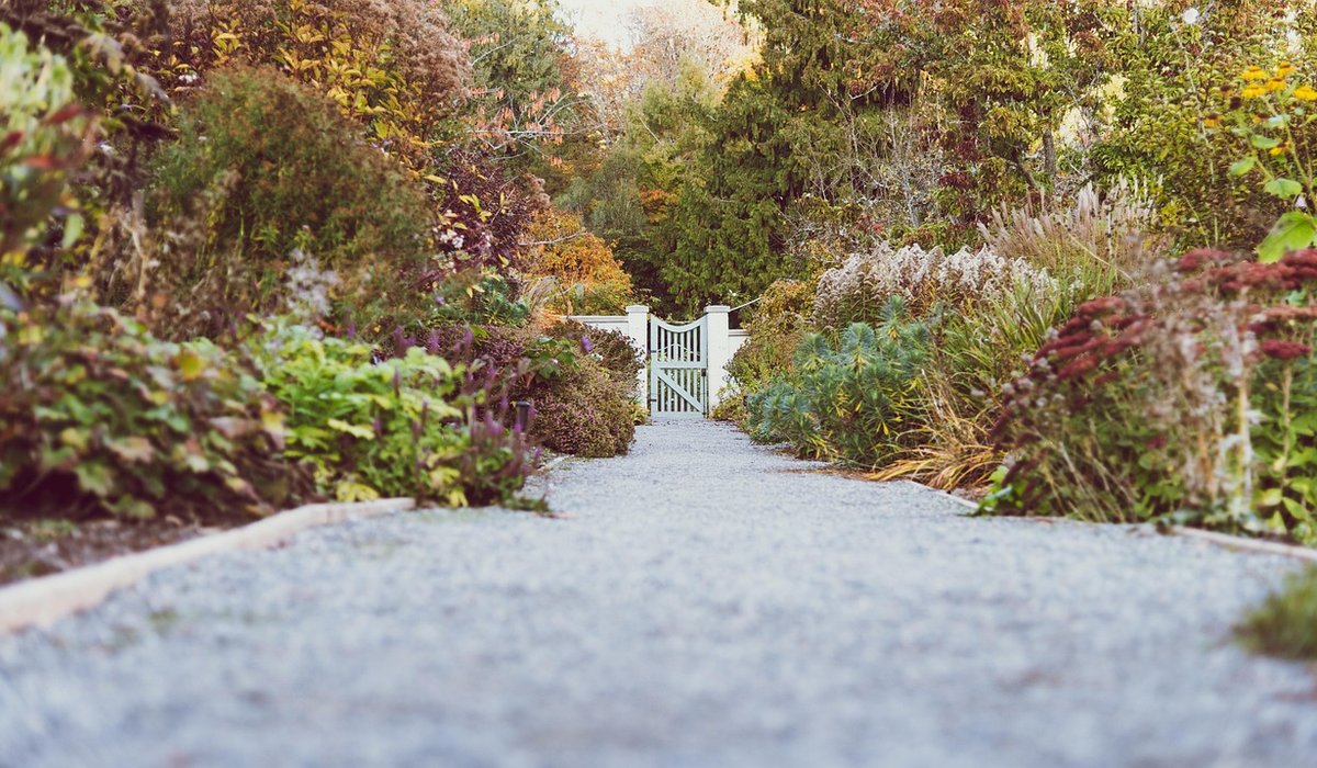 Managing Weeds on Gravel and Paved Paths