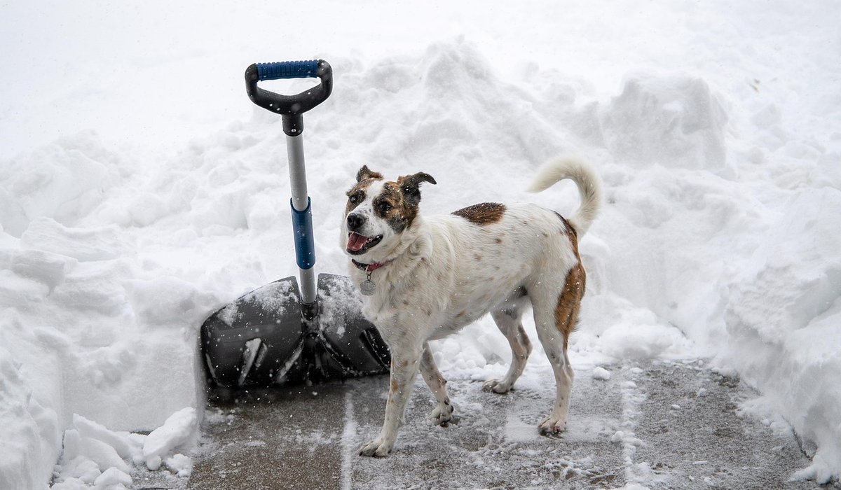 How to Prepare a Stable Base for Patio Slabs